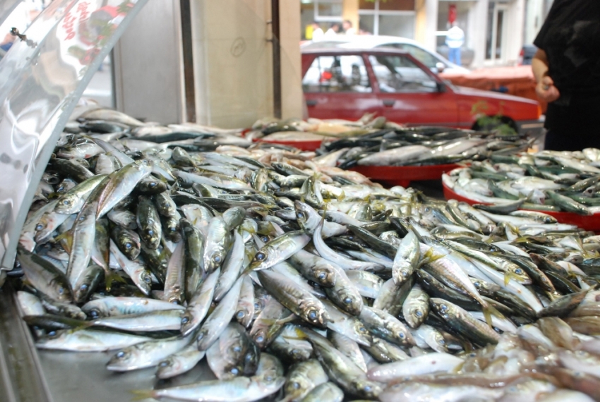 Türkiye’de balık tüketimi 7,6 kg