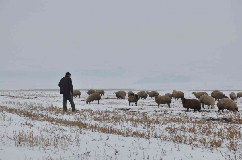 Kars’ta göçerlerin kar üzerinde zorlu yolculuğu