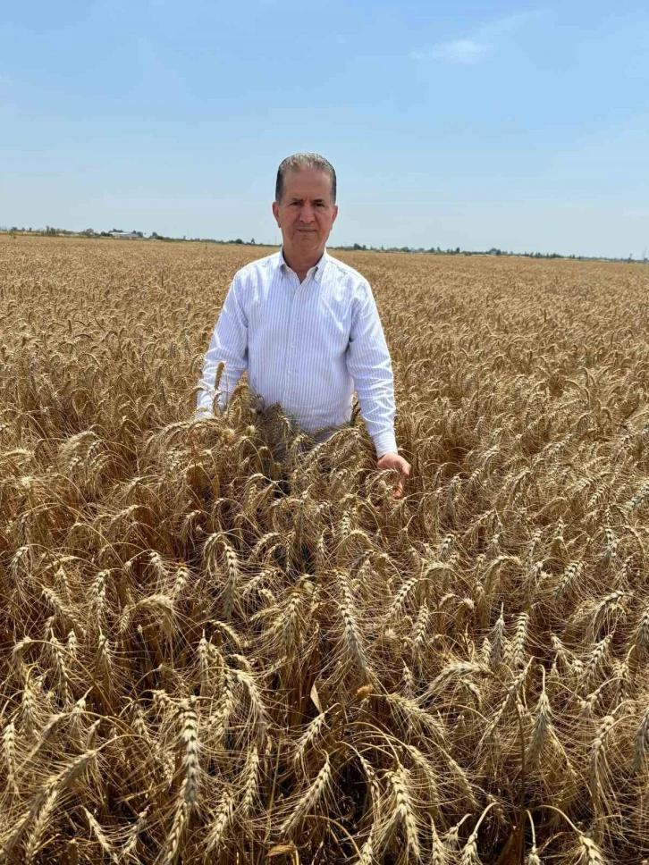 Doğan: “Çiftçilerimiz, bu yıl da buğday fiyatlarının açıklanmasını bekliyor”
