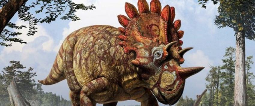 Dünyanın en büyük dinozoru görücüye çıktı