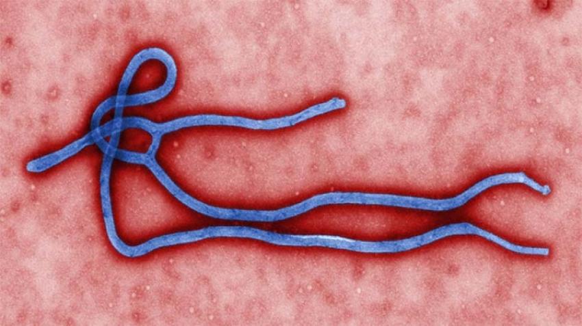 Ebola kabusu geri mi döndü?
