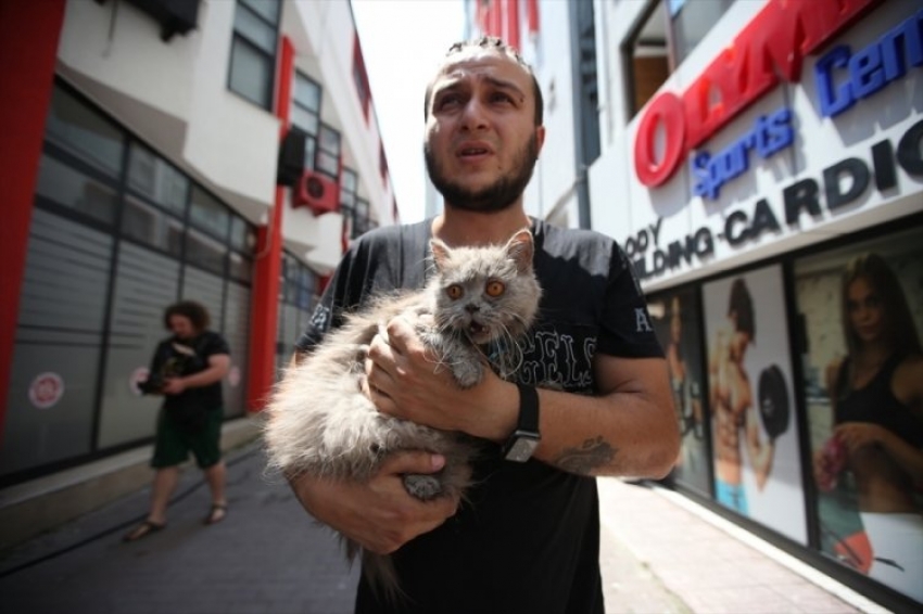 Bursa'da anne kedi ve yavruları son anda kurtarıldı