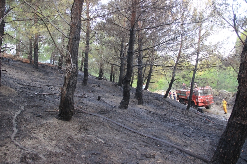 Kazdağları’nda çıkan orman yangını söndürüldü