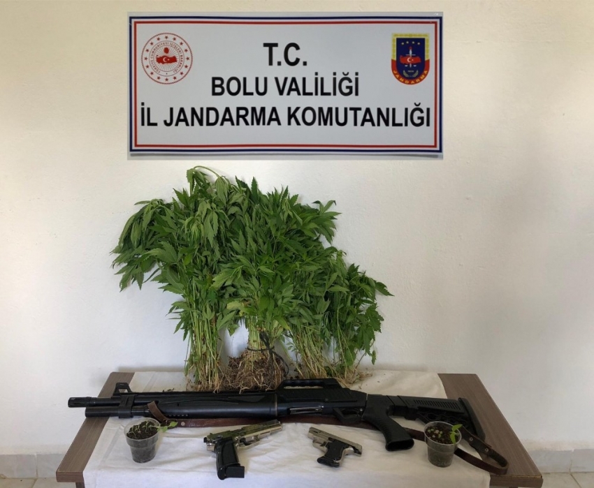 Bolu’da uyuşturucu operasyonunda 2 gözaltı