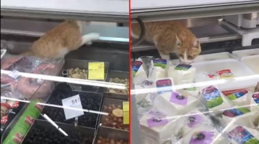 Türkiye'nin ünlü zincir marketinde çekilen görüntüler tepkilere sebep oldu