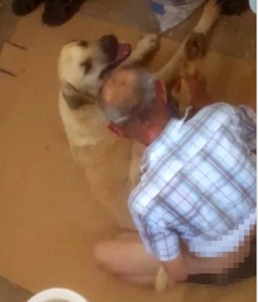 Antalya'da iğrenç olay: Ayaklarını hortumla bağladığı köpeğe...