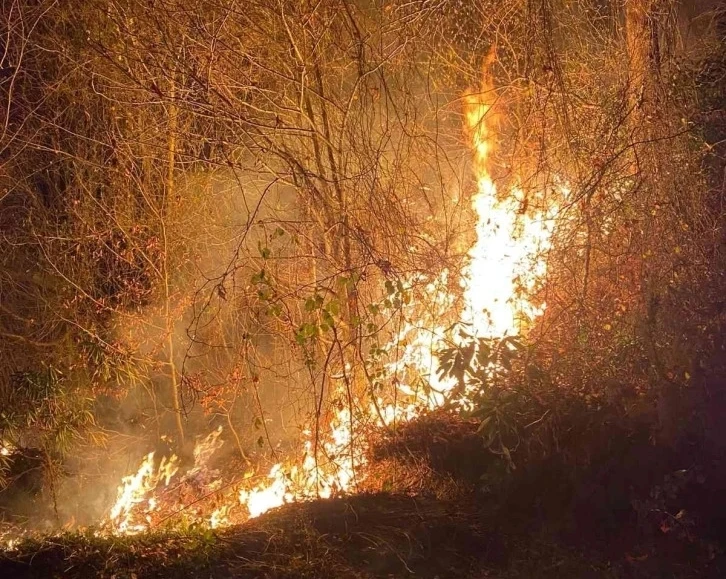 Sakarya'daki ormanlık alanda çıkan yangın söndürüldü