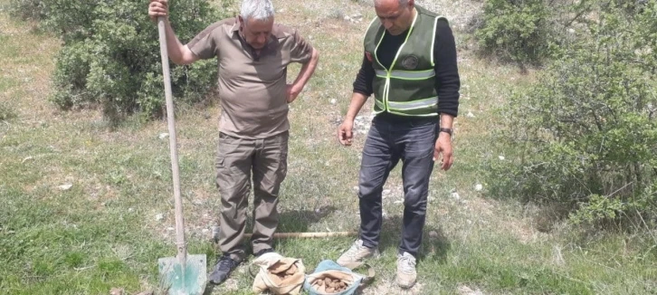 Elazığ’da salep soğanı toplayan 8 kişiye 3 milyon 100 bin lira ceza
