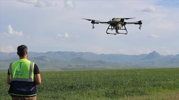 Erzurumlu çiftçiler tasarruf için ilaçlamayı dronla yapıyor