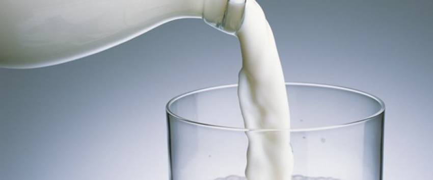 Eşek sütü kansere iyi geliyor mu?