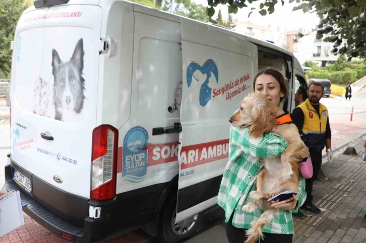 Eyüpsultan’da Sokak Hayvanları Ambulansı hizmete devam ediyor
