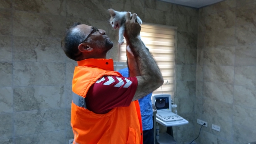 Kediyi suni teneffüsle hayata döndüren belediye işçisi o anları anlattı