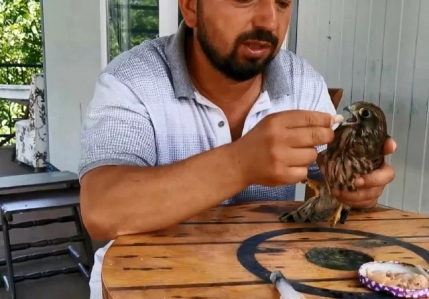 Bursa'da kendisine emanet edilen yırtıcı kuşla arkadaş oldu elleriyle besledi