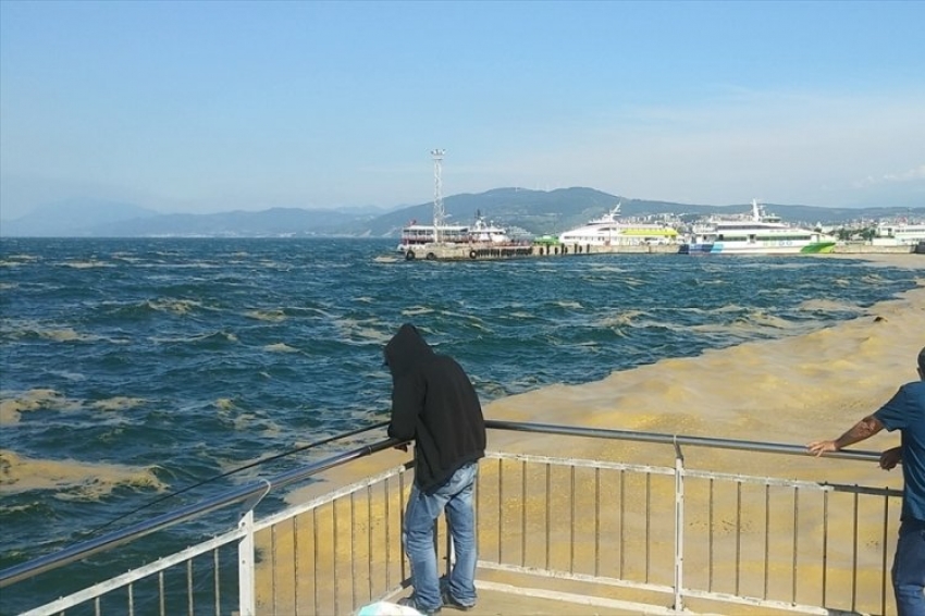 Mudanya kıyılarında çalışmalar sürüyor