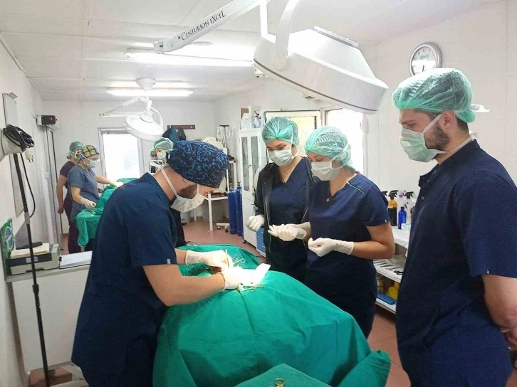Bursa'da geleceğin veteriner hekimlerine uygulamalı eğitim