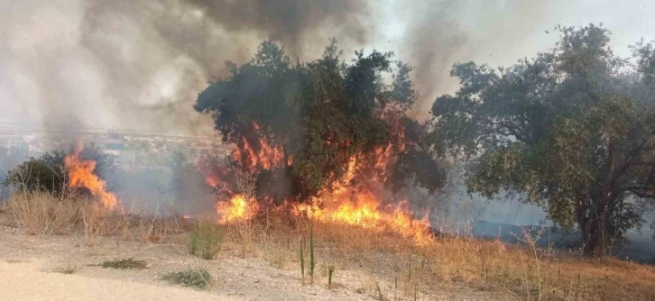 Hatay’da 2 farklı noktada meydana gelen yangın, ormanlık alana sıçramadan söndürüldü
