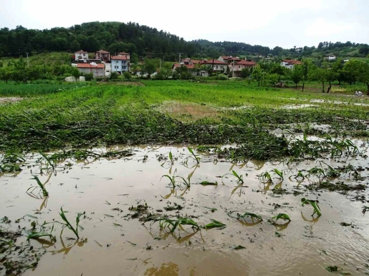 Hisarcık’ta sağanak yağış sonrası tarım arazileri sular altında kaldı