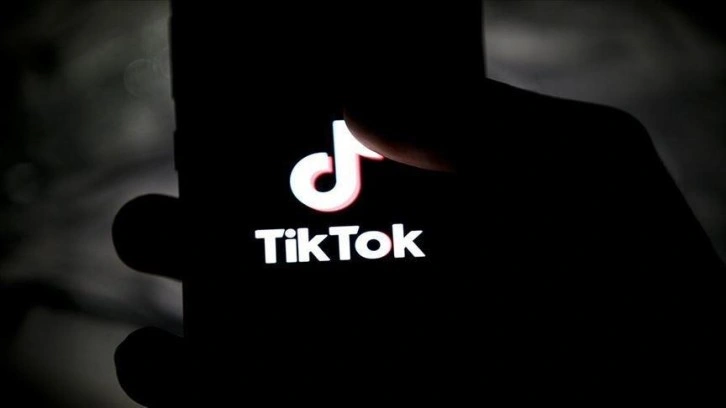 Hollanda, kamuya ait telefonlarda TikTok'un kullanılmamasını istedi