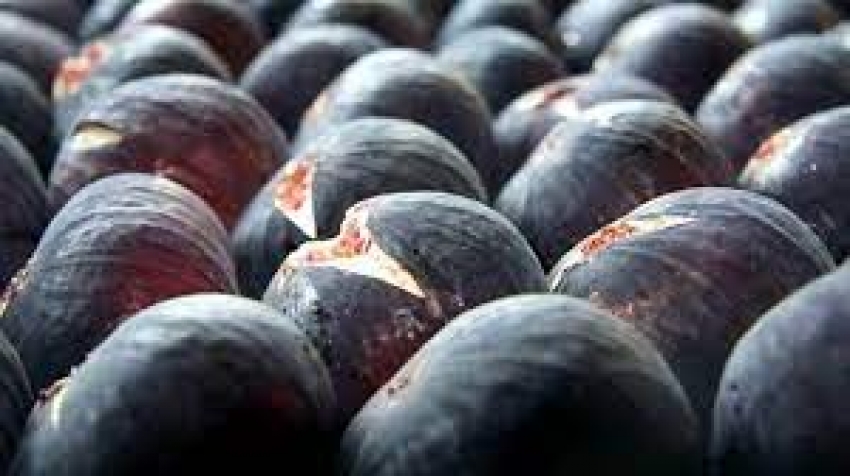 Bursa'nın siyah inciri için yeni pazarlar