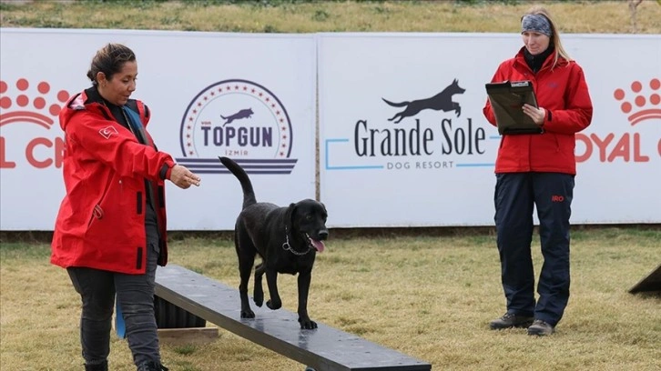 İzmir'deki sınavda arama köpeği adayları zorlu parkurda yeteneklerini gösterdi