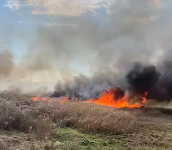 İznik Gölü kıyısında çıkan yangının bilançosu 