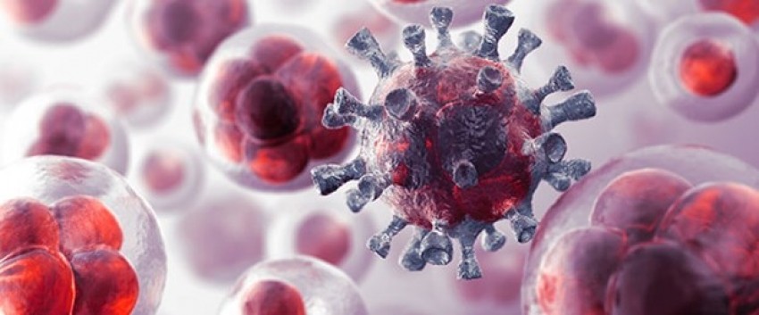 Kanserde yeni tedavi: Car T hücre tedavisi