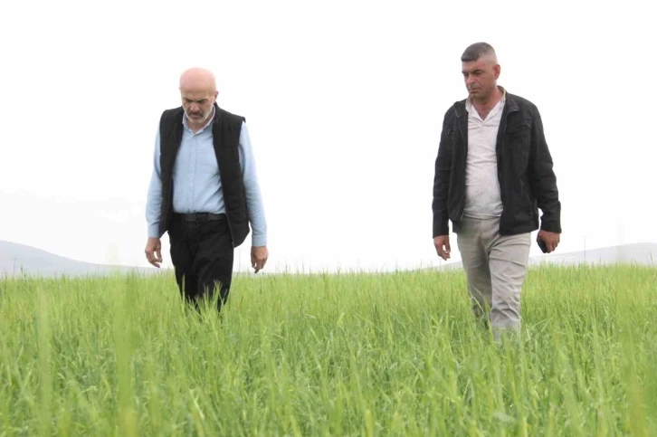 Karaman’da aniden yağan dolu ekili arazilerde zarara yol açtı

