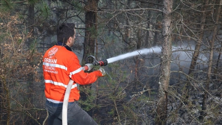 Kastamonu'da orman yangını çıktı