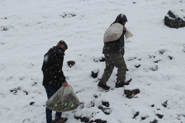Kırsalda kar esareti devam ederken yaban hayvanları unutulmadı
