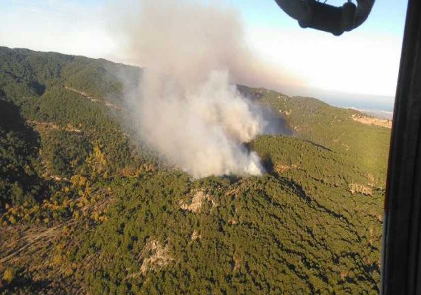 İzmir'de korkutan orman yangını