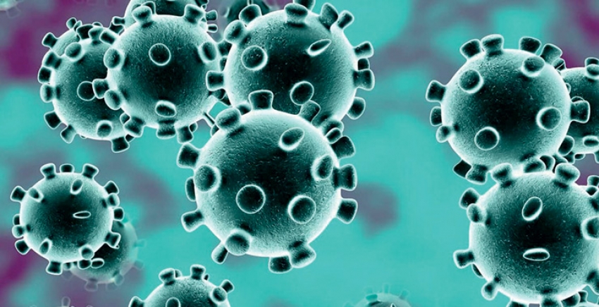 Virüste bu hafta neden kritik? 