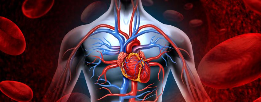 Oruç  koroner kalp hastalıklarını önlüyor