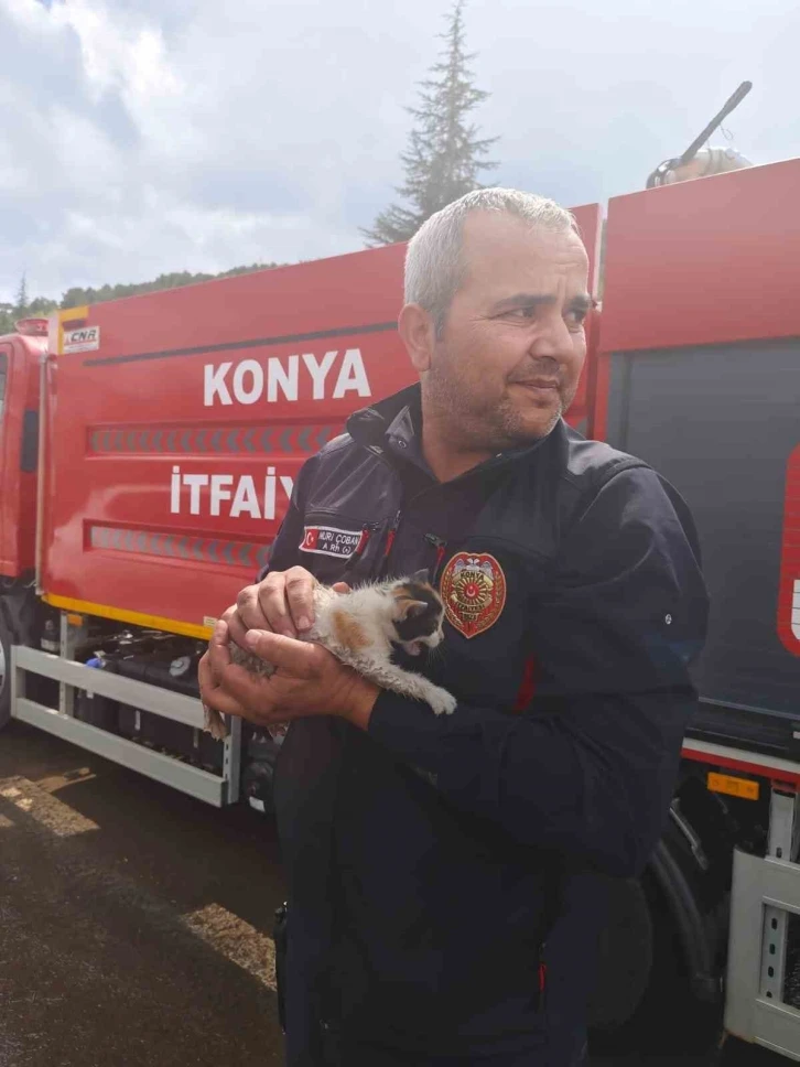 Konya’da otomobilin motoruna sıkışan kedi kurtarıldı

