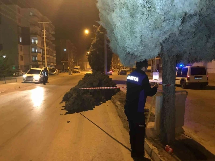 Konya’da şiddetli rüzgar ağaçları devirdi
