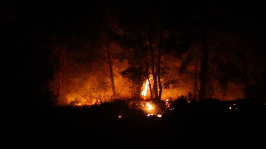 Manavgat’ta 2 ayrı orman yangını