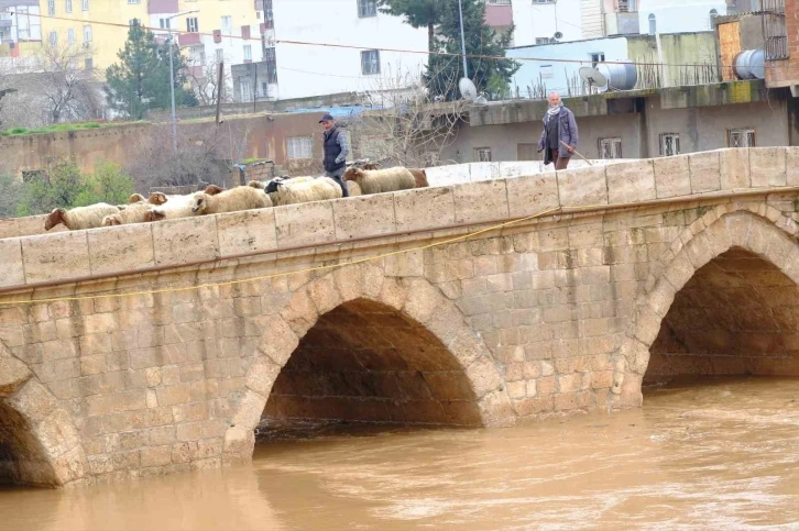 Mardin’de yağışla birlikte tarihi Dunaysır Köprüsü’nün debisi yükseldi
