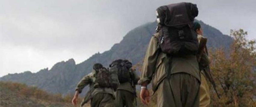 Muş'ta PKK tarafından kaçırılan 2 kişi serbest bırakıldı