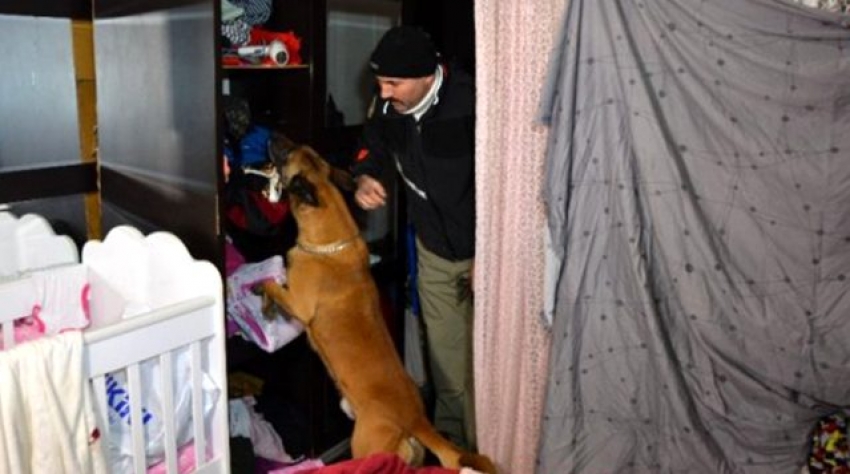 Bursa'da torbacılar köpeği hesaba katmadılar