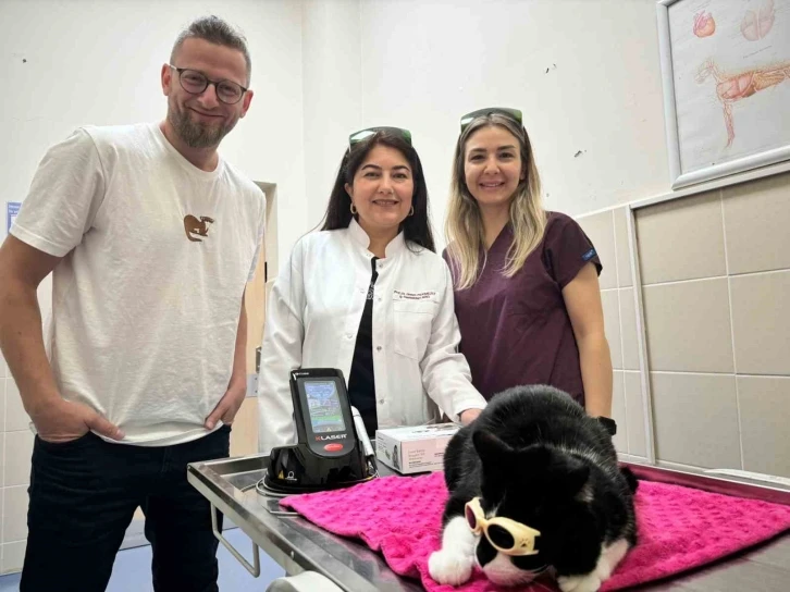 OMÜ Hayvan Hastanesinde ’düşük doz lazer tedavi’ hizmeti
