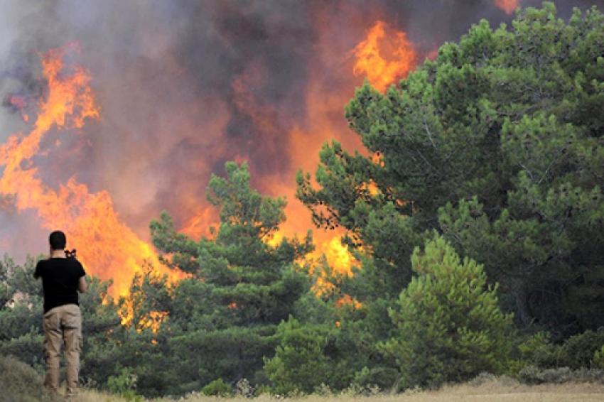 Orhaneli'de orman yangını