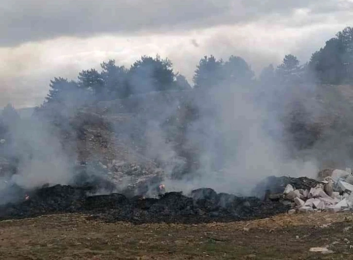 Ormanda yanan çöpler ekipleri harekete geçirdi
