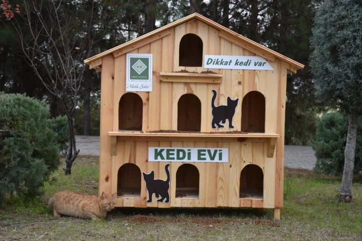 Osmaniye Belediyesinin kedi evleri "can dostlara" yuva oldu
