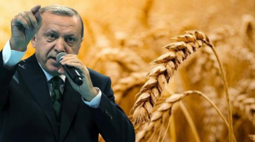 Gıda krizi için Türkiye devrede!