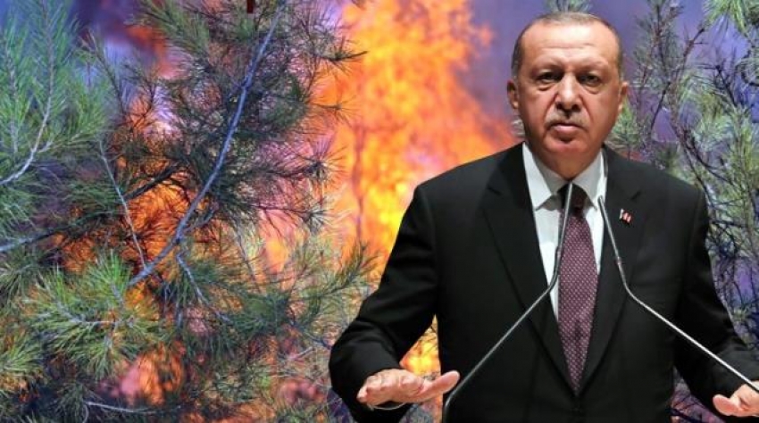 Cumhurbaşkanı Erdoğan'dan yangınlarda sabotaj iddialarına cevap