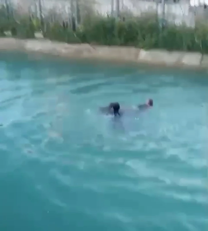 Sulama kanalına düşen kadını vatandaşlar kurtardı
