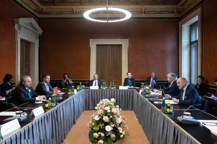  Şentop, Avusturya Meclis Başkanı Sobotka görüştü