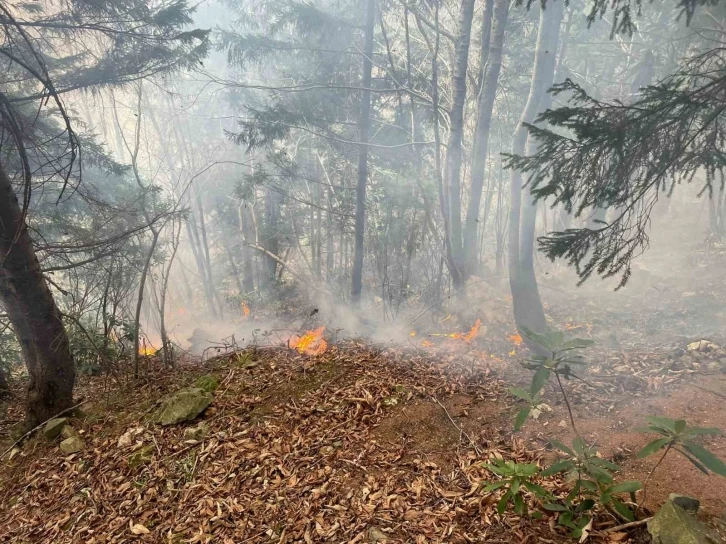 Trabzon’da ormanlık alanda örtü yangını çıktı
