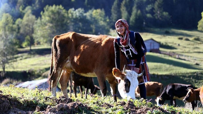 Türkiye'nin 'Heidi'sinin hayali veteriner olmak