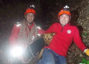 Uludağ’da kayanın üzerinde mahsur kalan köpeğe kurtarma operasyonu