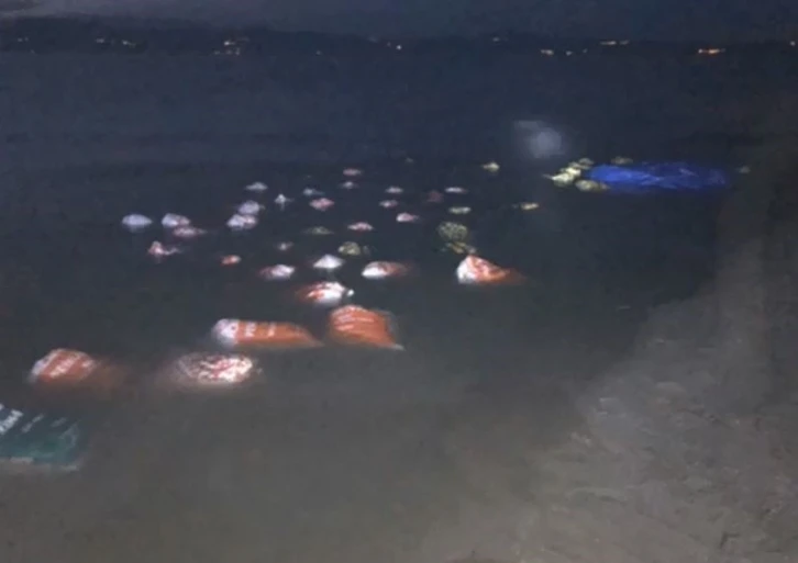 Van’da 3 ton kaçak avlanmış balık ele geçirildi
